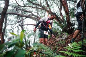 BIB: 
                            <button type="button" onclick="openModal(26295777)" class="btn btn-primary btn-sm float-right btn-popup" data-toggle="modal" data-target=".modal-high-quality">
                        <i class="fas fa-shopping-cart"></i> Add to Cart
                    </button>
                                            <button type="button" onclick="isThisMe(26295777, true)" class="btn btn-success btn-sm float-right btn-popup btn-isme hidden" data-toggle="tooltip" data-placement="bottom" title="นี่คือรูปของคุณใช่ไหม คลิกที่นี่เพื่อเอาเข้าอัลบั้ม">
                        <i class="fas fa-plus"></i> Add to album
                    </button>
                    <button type="button" onclick="isThisMe(26295777, false)" class="btn btn-warning btn-sm float-right btn-popup btn-isnotme hidden">
                        <i class="fas fa-ban"></i> Remove from album
                    </button>